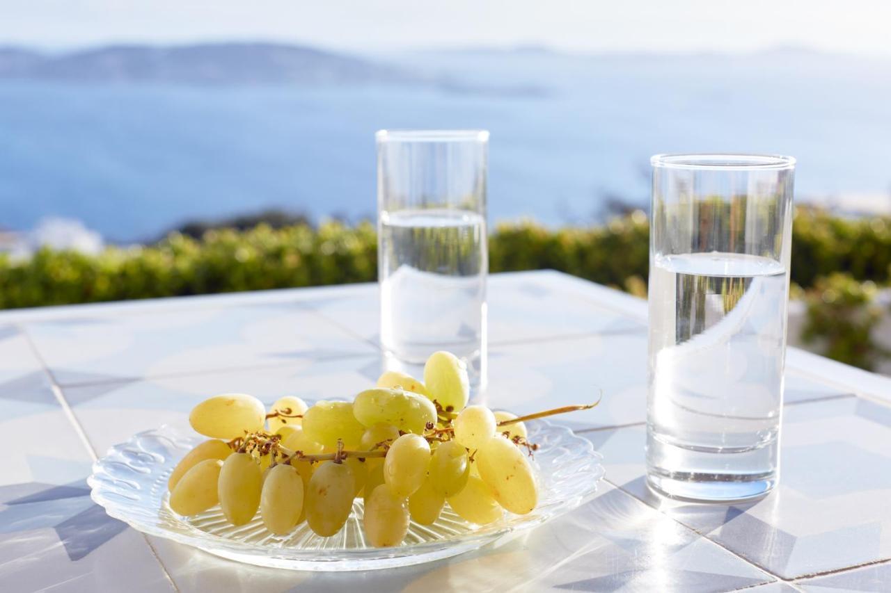 Villa Amare Mykonos Tourlos Esterno foto